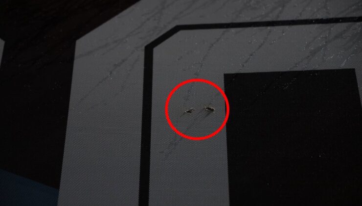 Trabzonspor takım otobüsüne çirkin saldırı!